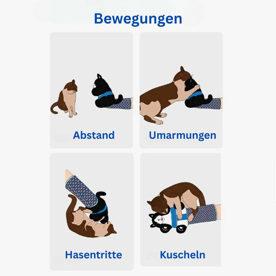 CatBuddy™ Interaktiver Spielhandschuh - Das Spielzeug, das Nähe schafft