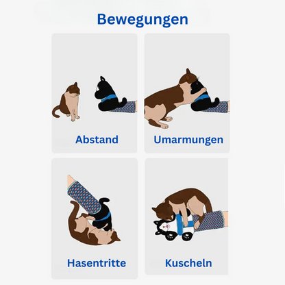 CatBuddy™ Interaktiver Spielhandschuh - Das Spielzeug, das Nähe schafft