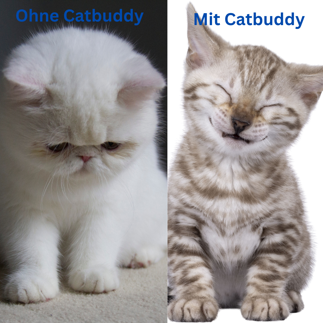CatBuddy™ Interaktiver Spielhandschuh - Das Spielzeug, das Nähe schafft