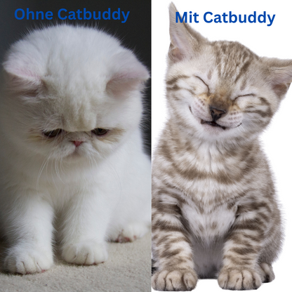 CatBuddy™ Interaktiver Spielhandschuh - Das Spielzeug, das Nähe schafft